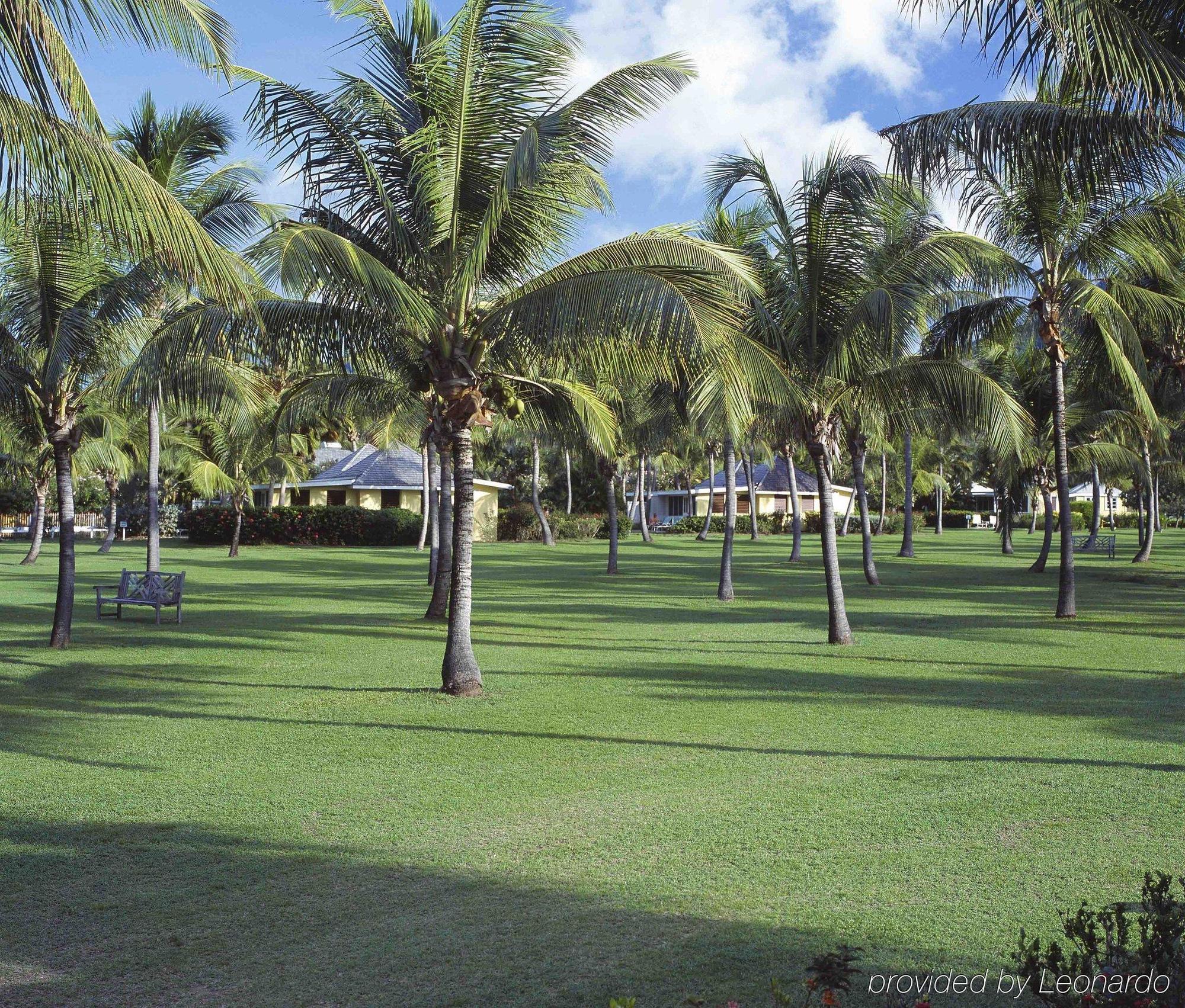 Nisbet Plantation Beach Club Newcastle Village Exterior foto