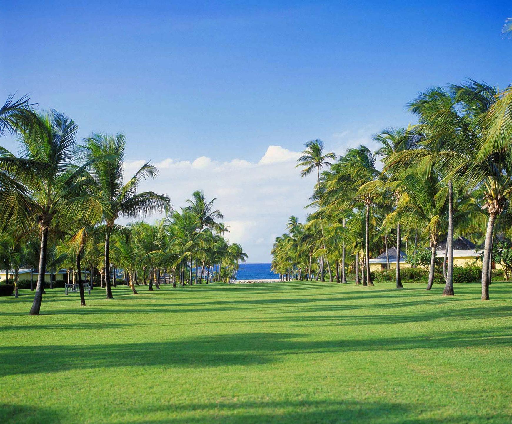 Nisbet Plantation Beach Club Newcastle Village Exterior foto