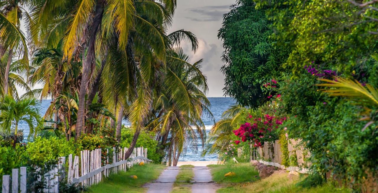 Nisbet Plantation Beach Club Newcastle Village Exterior foto